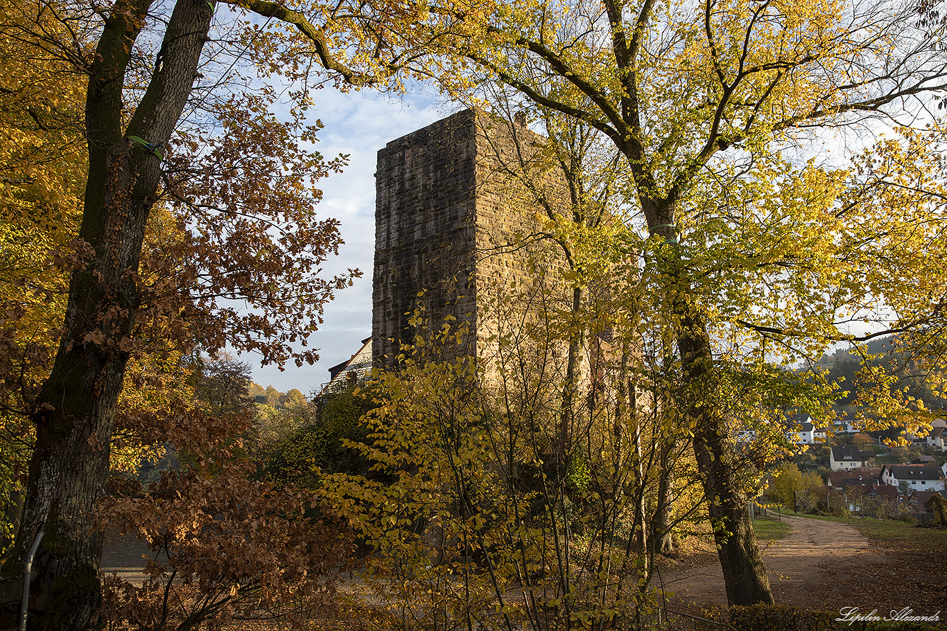 Замок Ринек (Burg Rieneck)  - Ринек (Rieneck) - Германия (Deutschland)