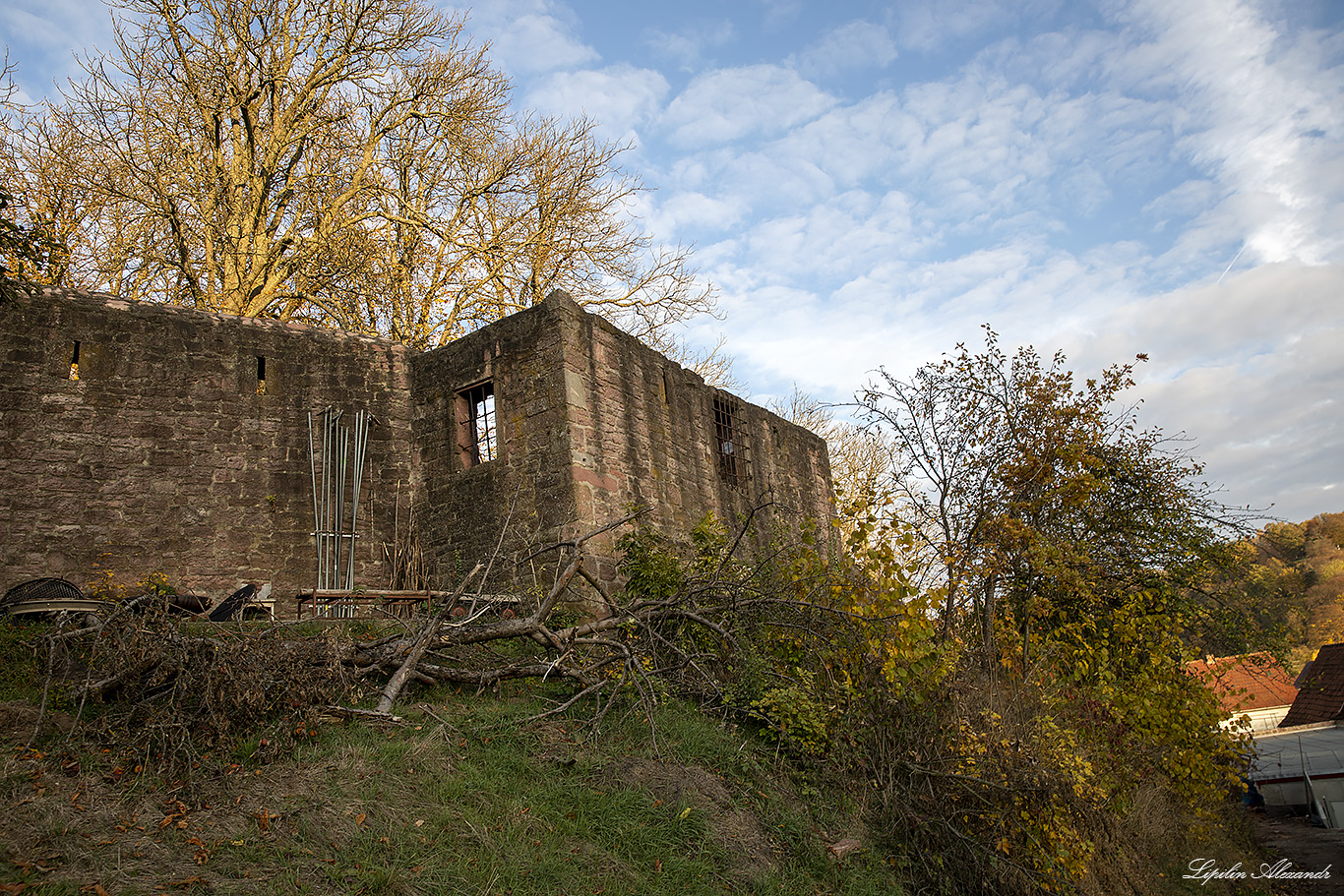 Замок Ринек (Burg Rieneck)  - Ринек (Rieneck) - Германия (Deutschland)