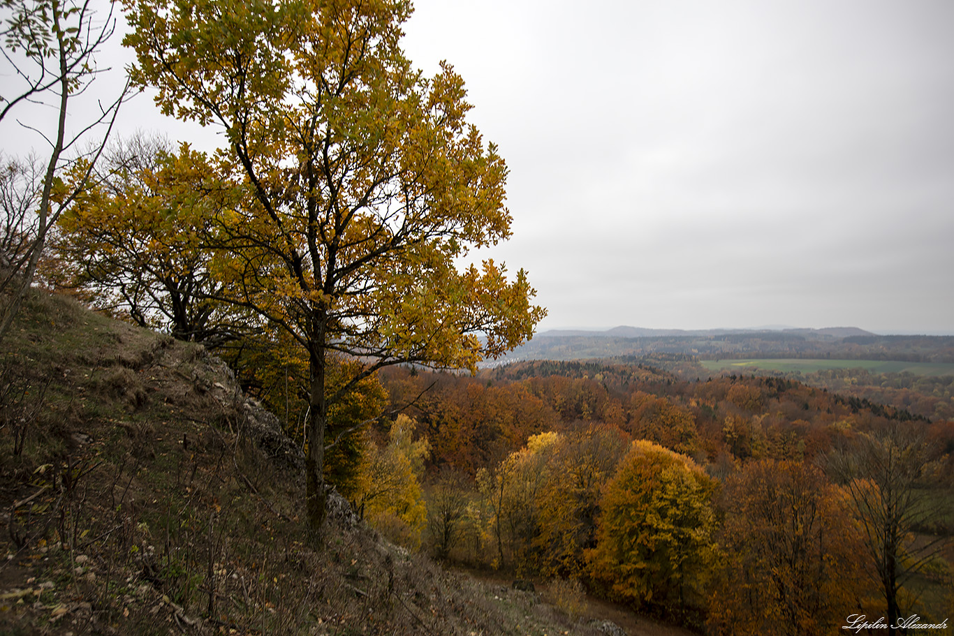 Замок Хоенштайн (Burg Hohenstein)  Хоенштайн (Hohenstein