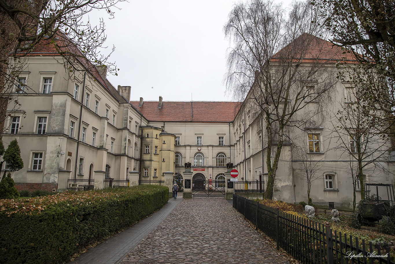 Замок Козмин-Велькопольски (Castle Koźmin Wielkopolski)