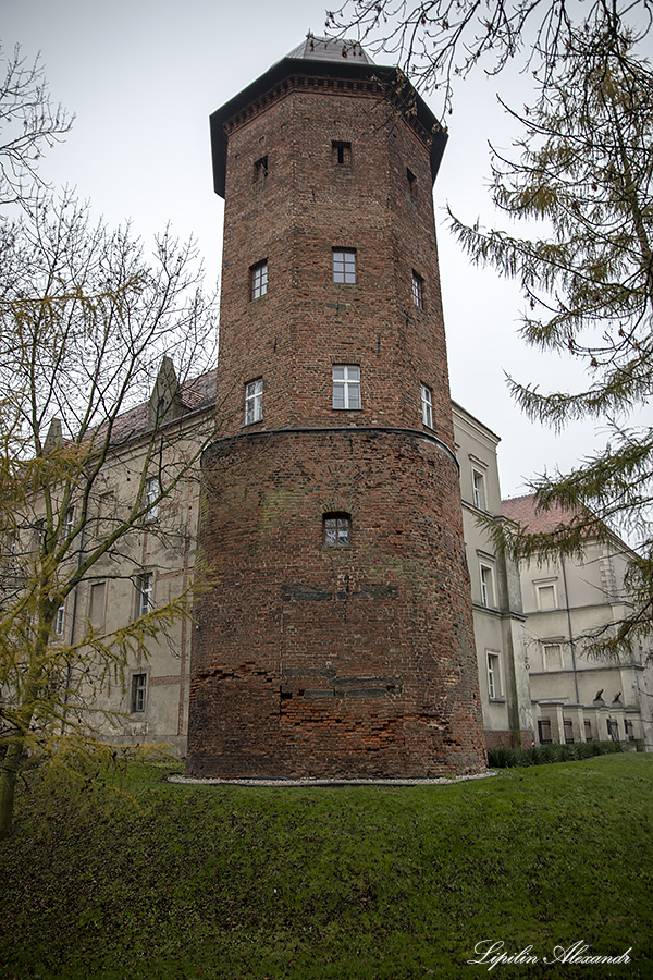 Замок Козмин-Велькопольски (Castle Koźmin Wielkopolski)