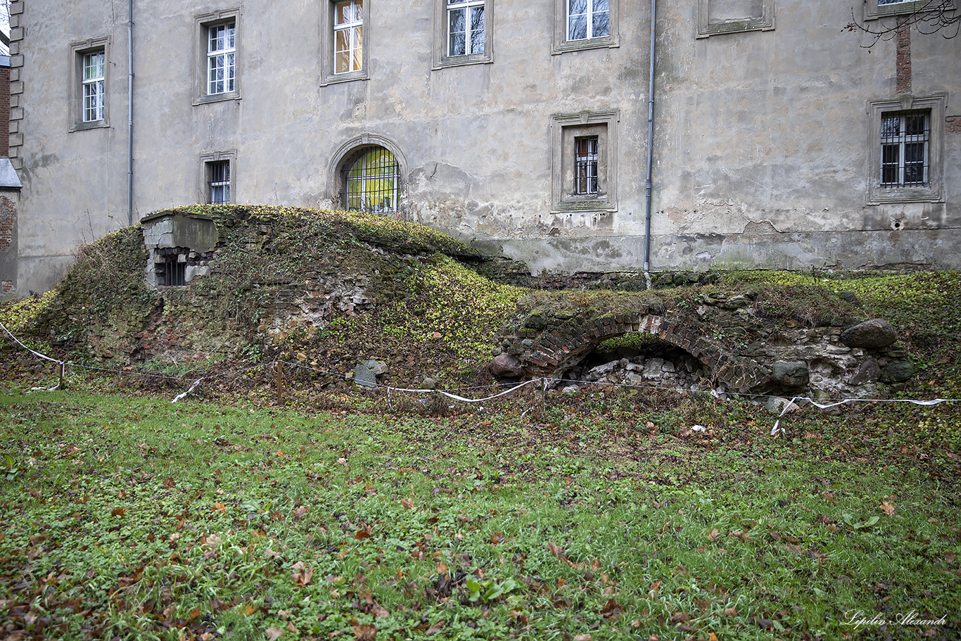 Замок Козмин-Велькопольски (Castle Koźmin Wielkopolski)