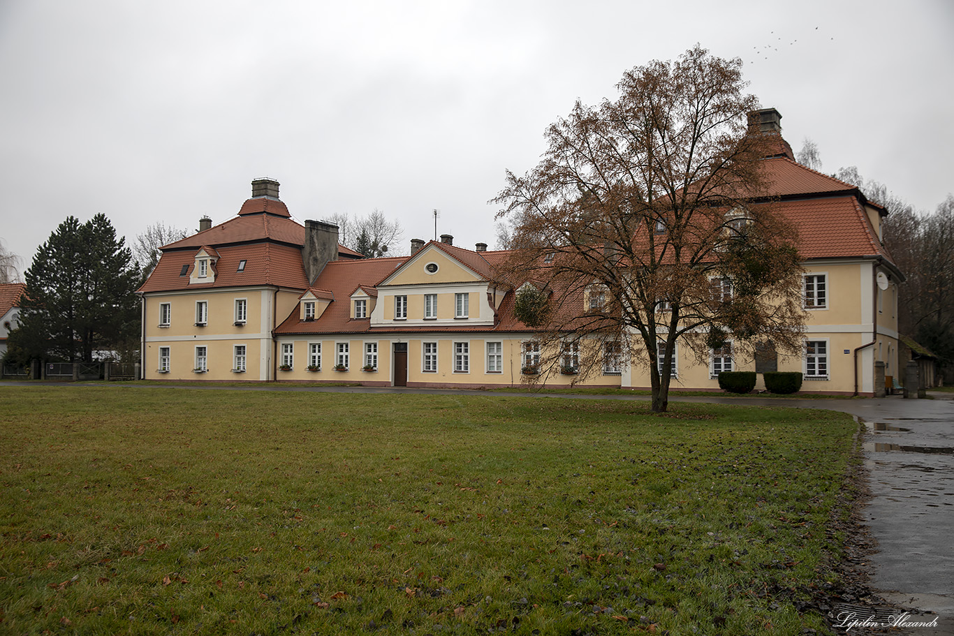 Курницкий замок (Zamek w Kórniku) - Курник (Kórnik)