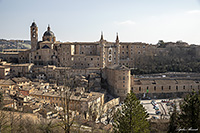  (Urbino)