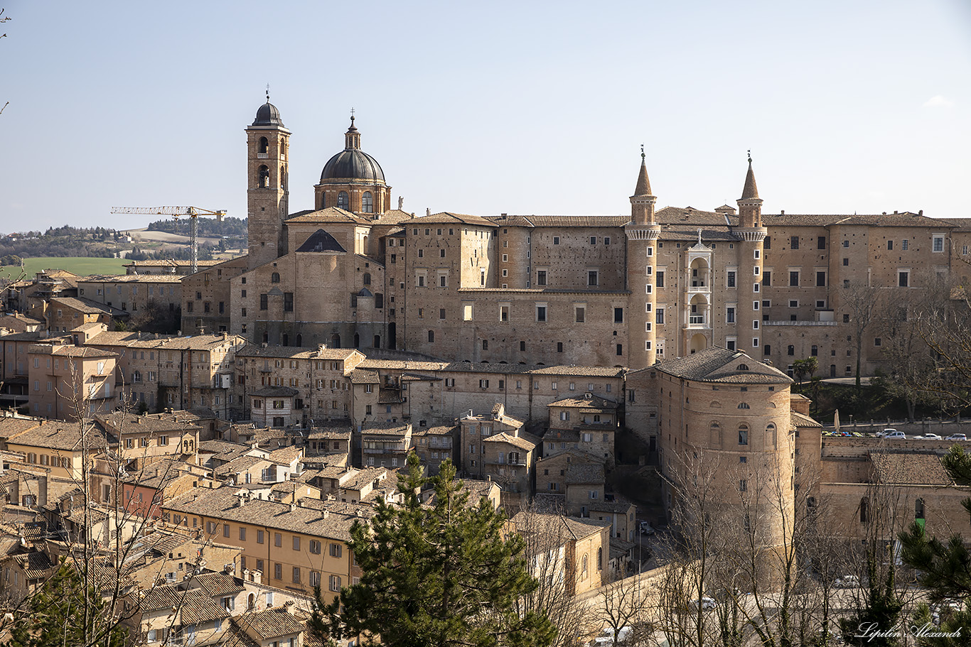 Урбино (Urbino) - Италия (Italia)