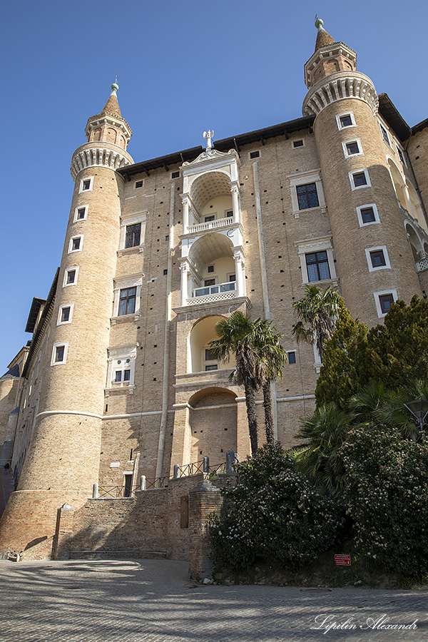 Урбино (Urbino) - Италия (Italia)