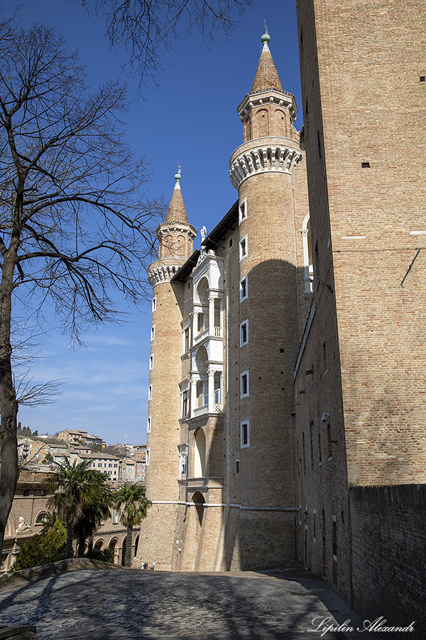 Урбино (Urbino) - Италия (Italia)