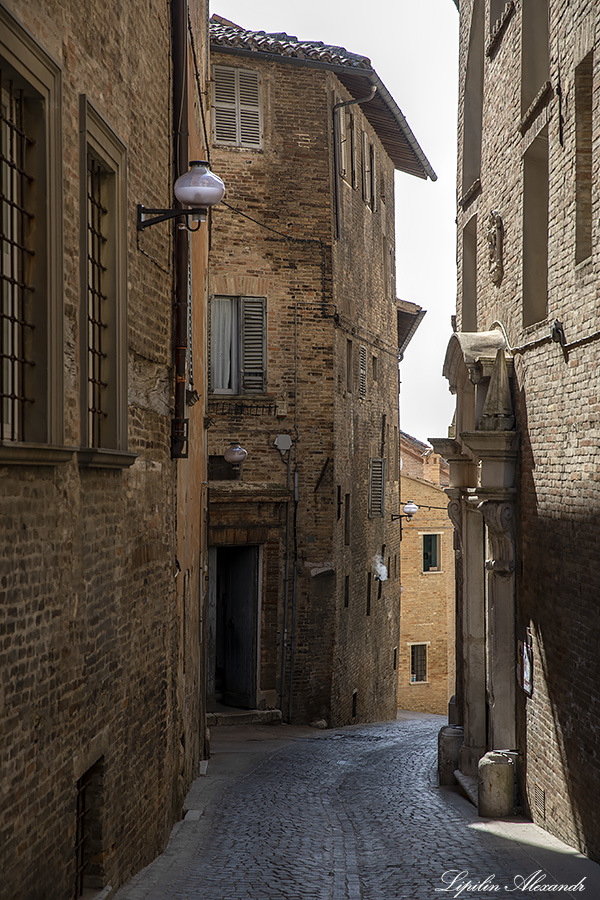 Урбино (Urbino) - Италия (Italia)