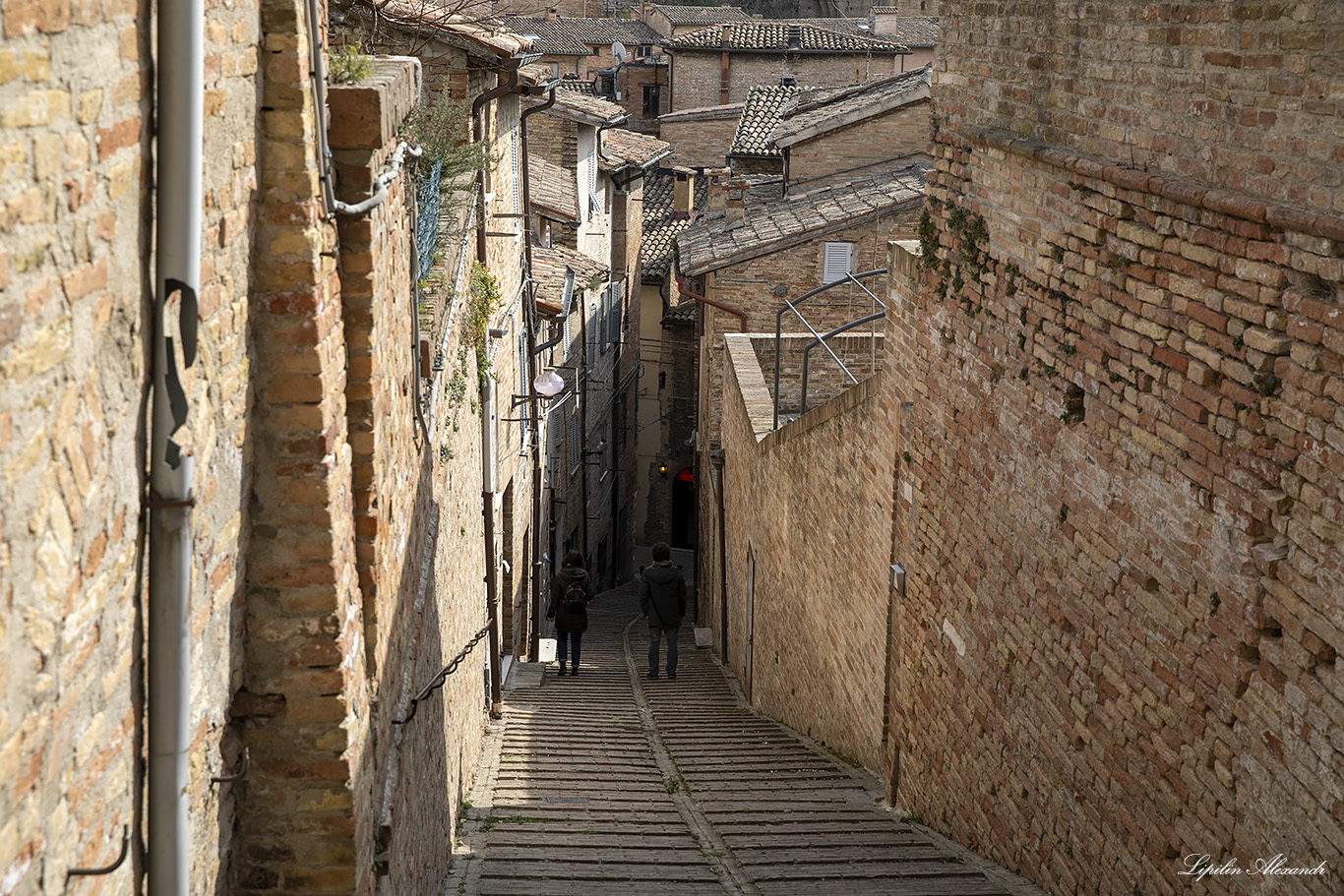 Урбино (Urbino) - Италия (Italia)