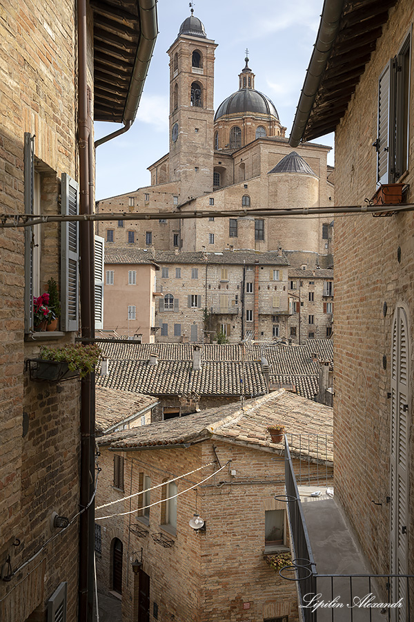 Урбино (Urbino) - Италия (Italia)