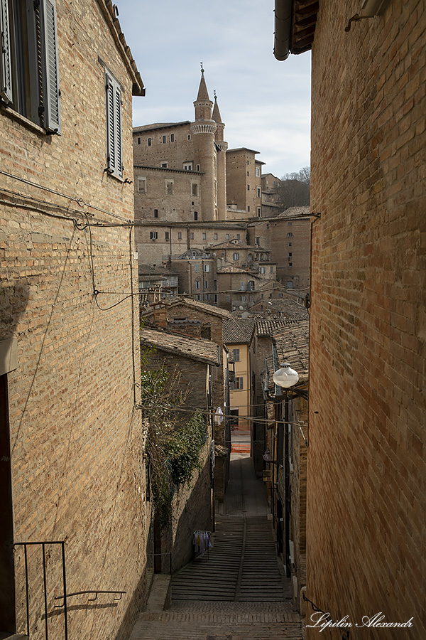 Урбино (Urbino) - Италия (Italia)