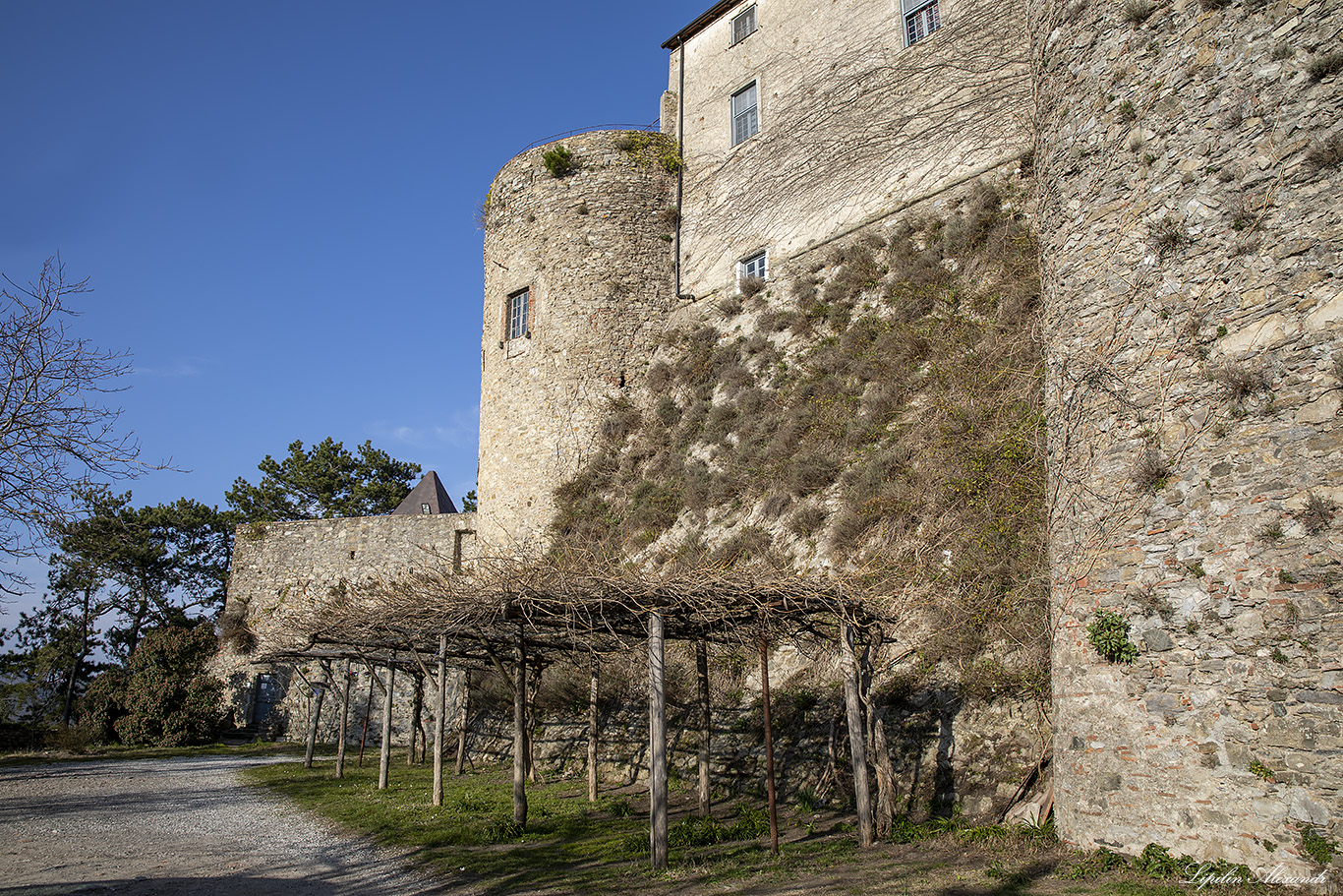 Замок Маласпина (Castello Malaspina)