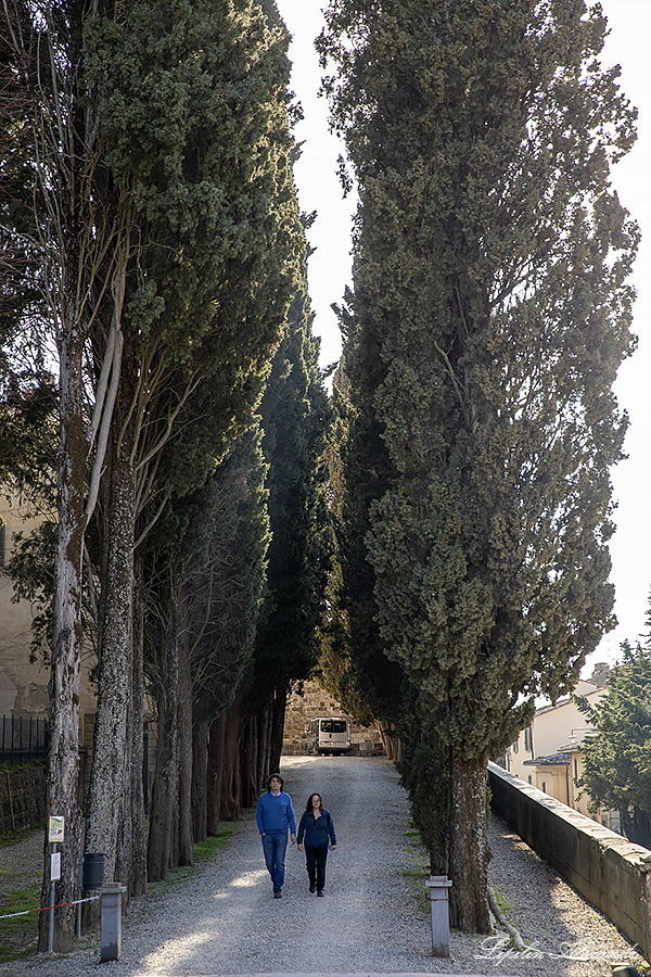 Аббатство Святого Михаила Архангела ( Abbazia di San Michele Arcangelo) - Бадия-а-Пассиньяно (Badia A Passignano) - Италия (Italia)