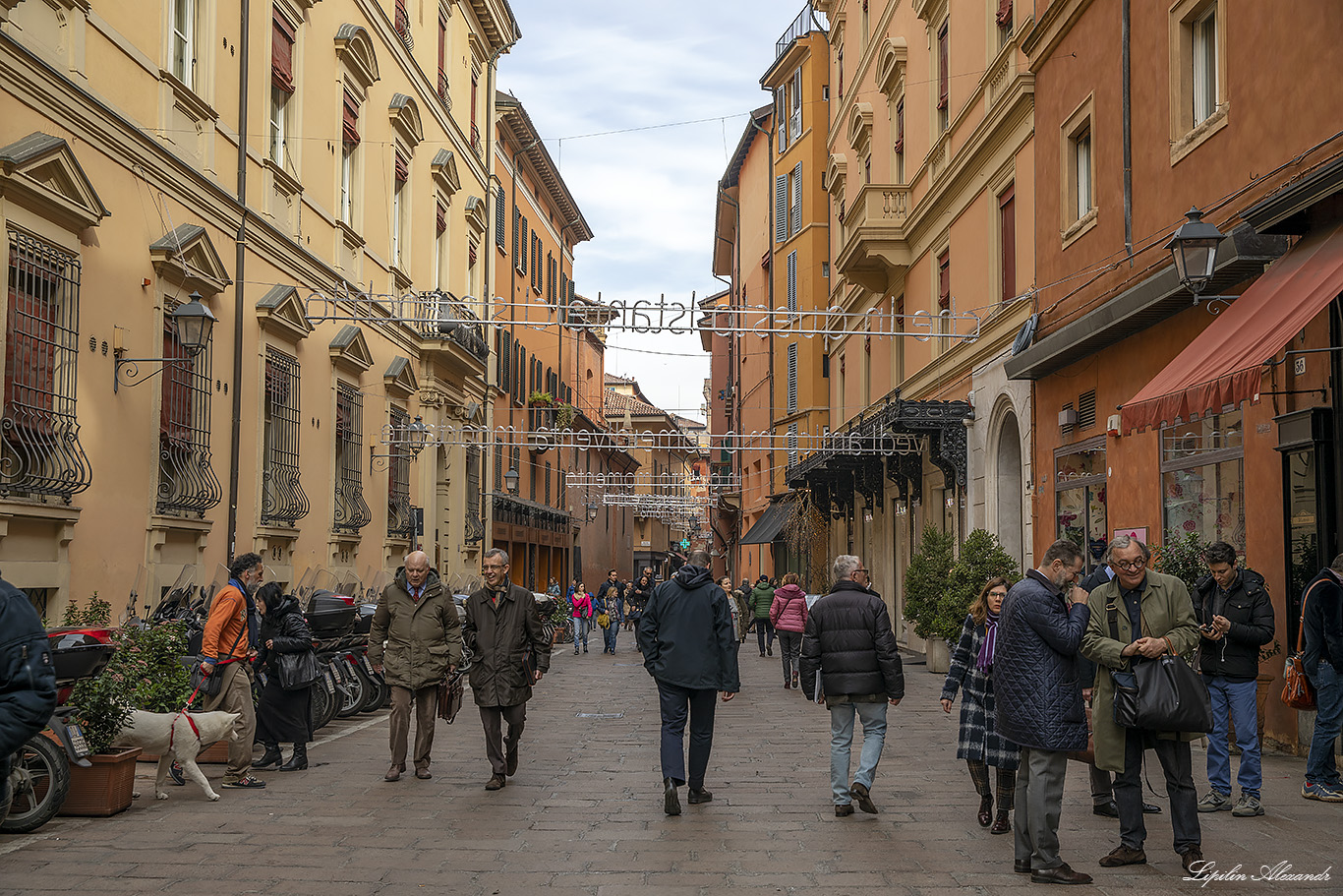 Болонья (Bologna) - Италия (Italia)