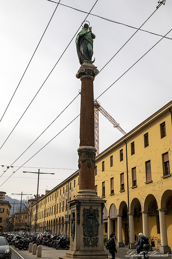 Болонья (Bologna) - Италия (Italia)