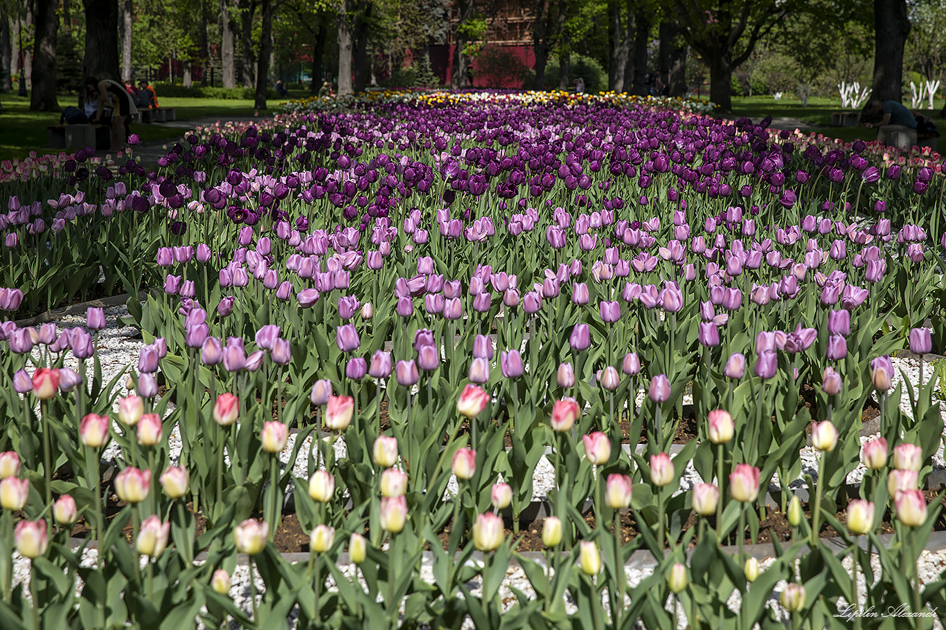 Московский Кремль