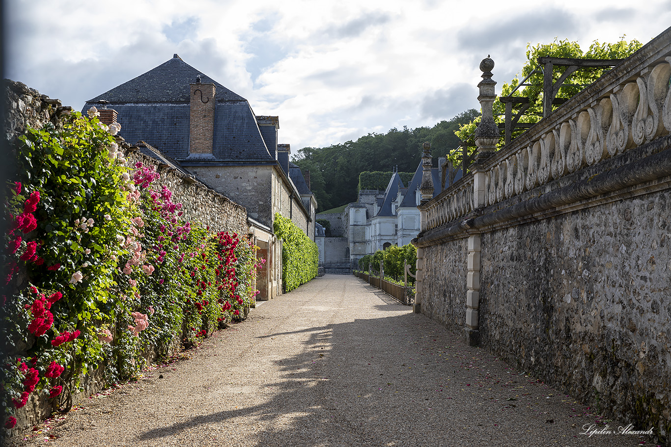 Замок Вилландри (Château de Villandry) 