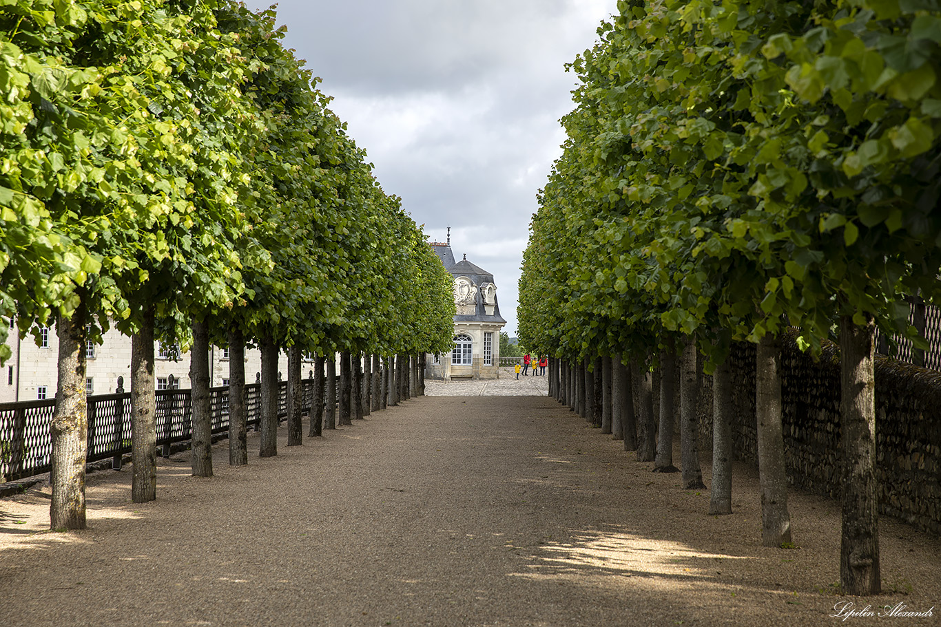 Замок Вилландри (Château de Villandry) 