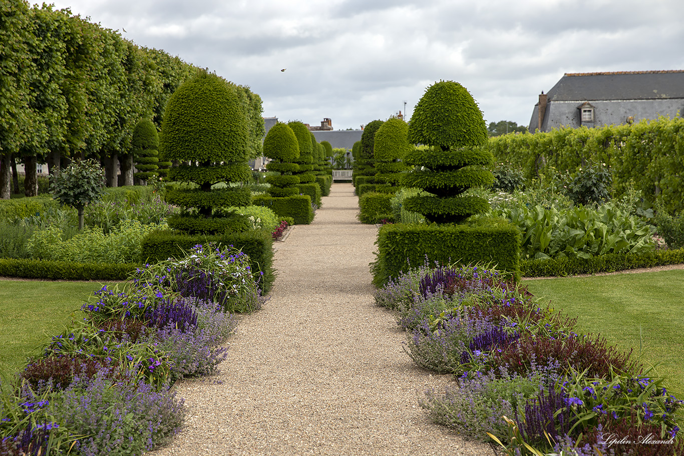 Замок Вилландри (Château de Villandry) 