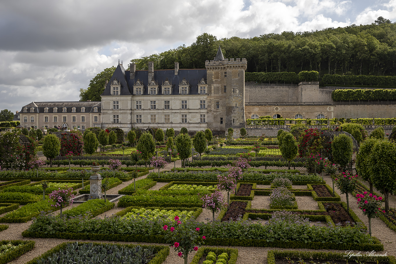 Замок Вилландри (Château de Villandry) 