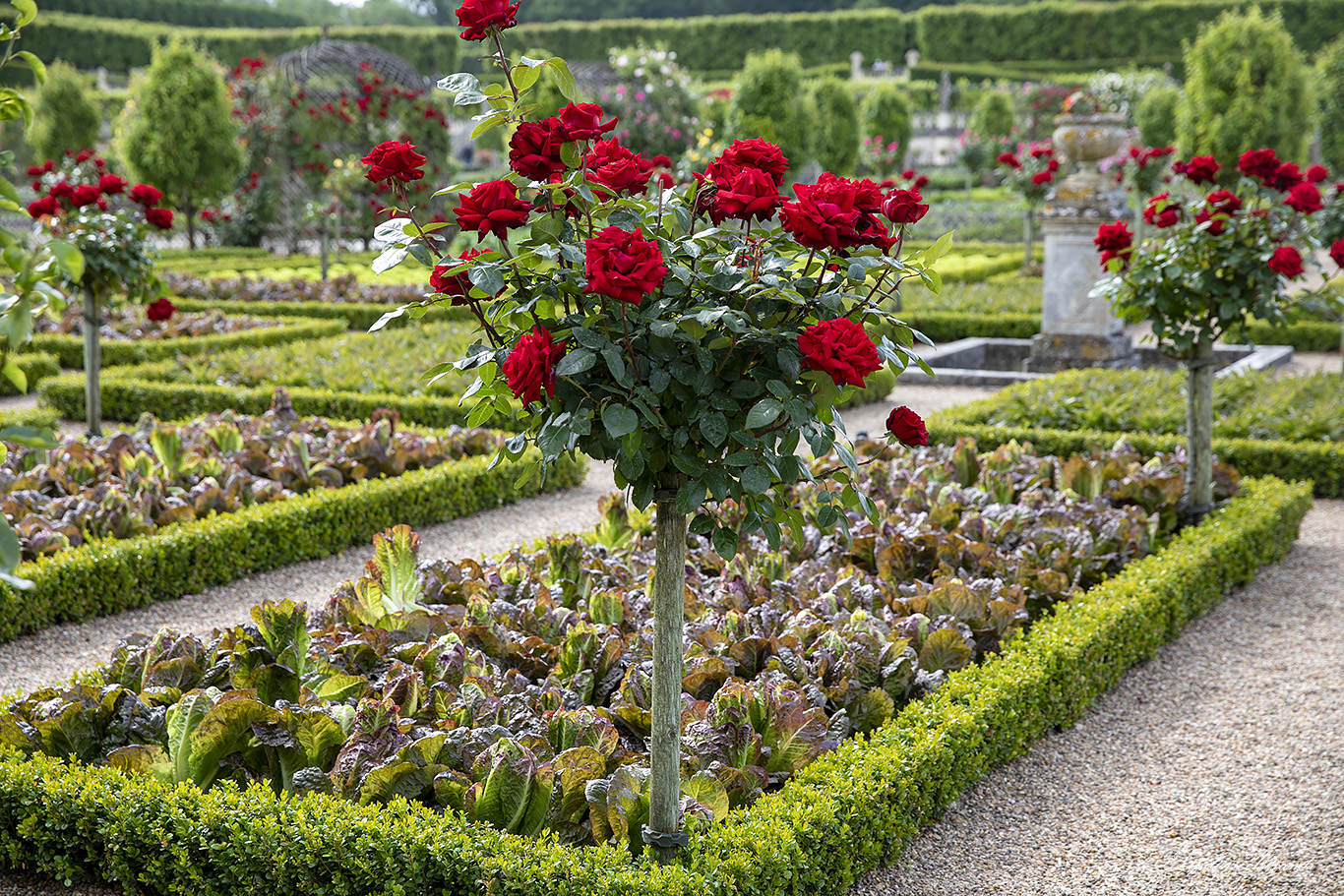 Замок Вилландри (Château de Villandry) 