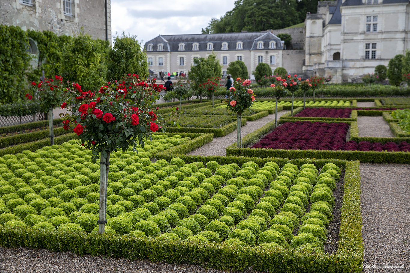 Замок Вилландри (Château de Villandry) 