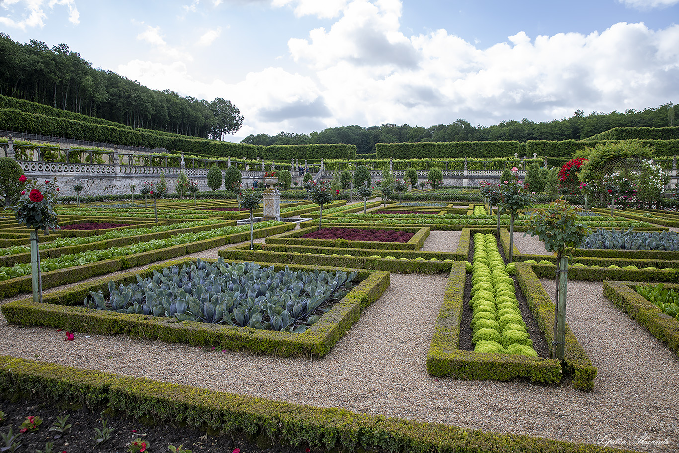 Замок Вилландри (Château de Villandry) 