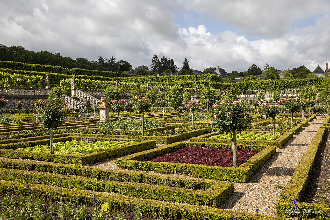 Замок Вилландри (Château de Villandry) 