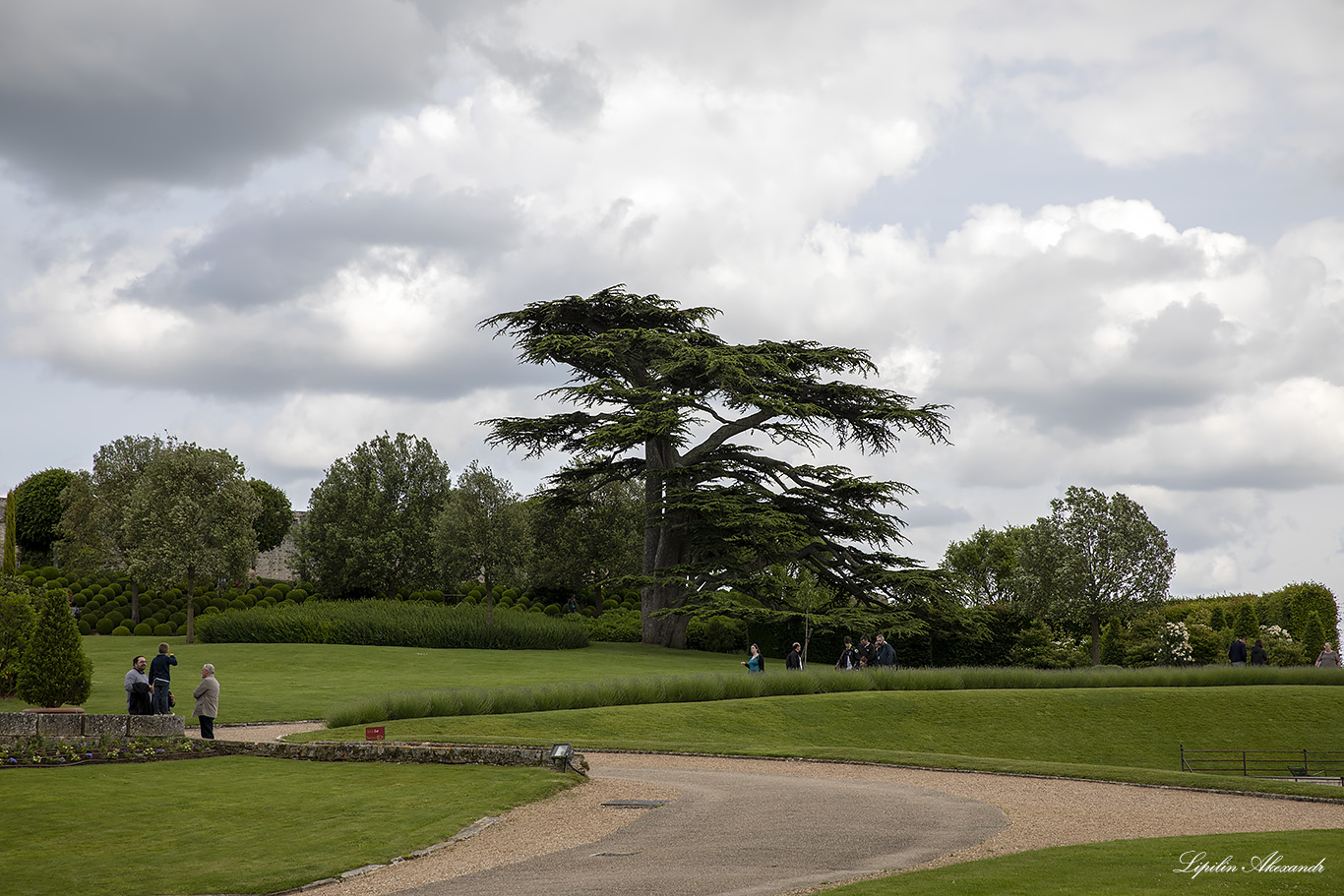 Королевский замок Амбуаз (Château Royal d'Amboise) 