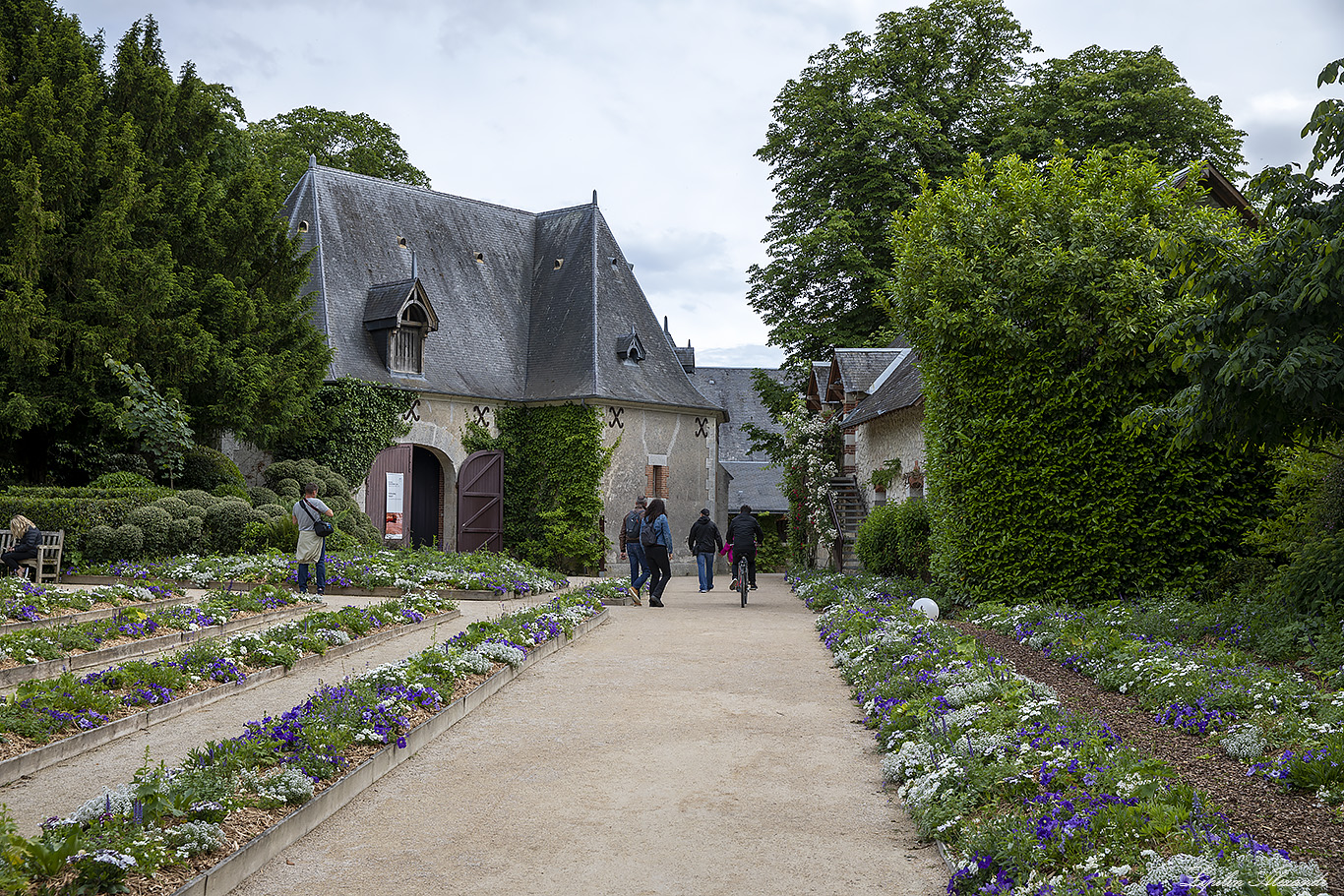 Замок Шомон-на-Луаре (Domaine de Chaumont-sur-Loire) 