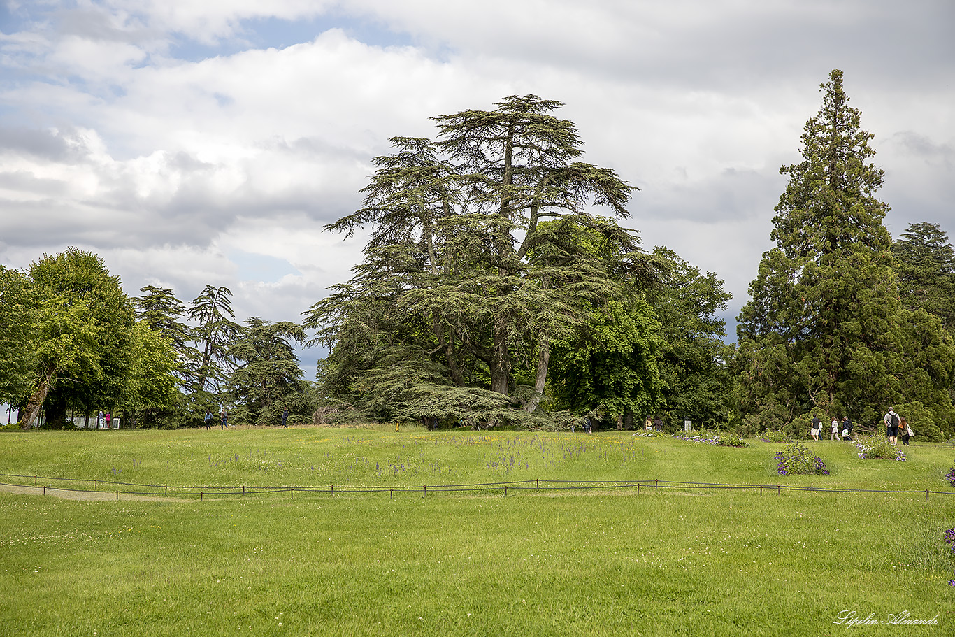 Замок Шомон-на-Луаре (Domaine de Chaumont-sur-Loire) 