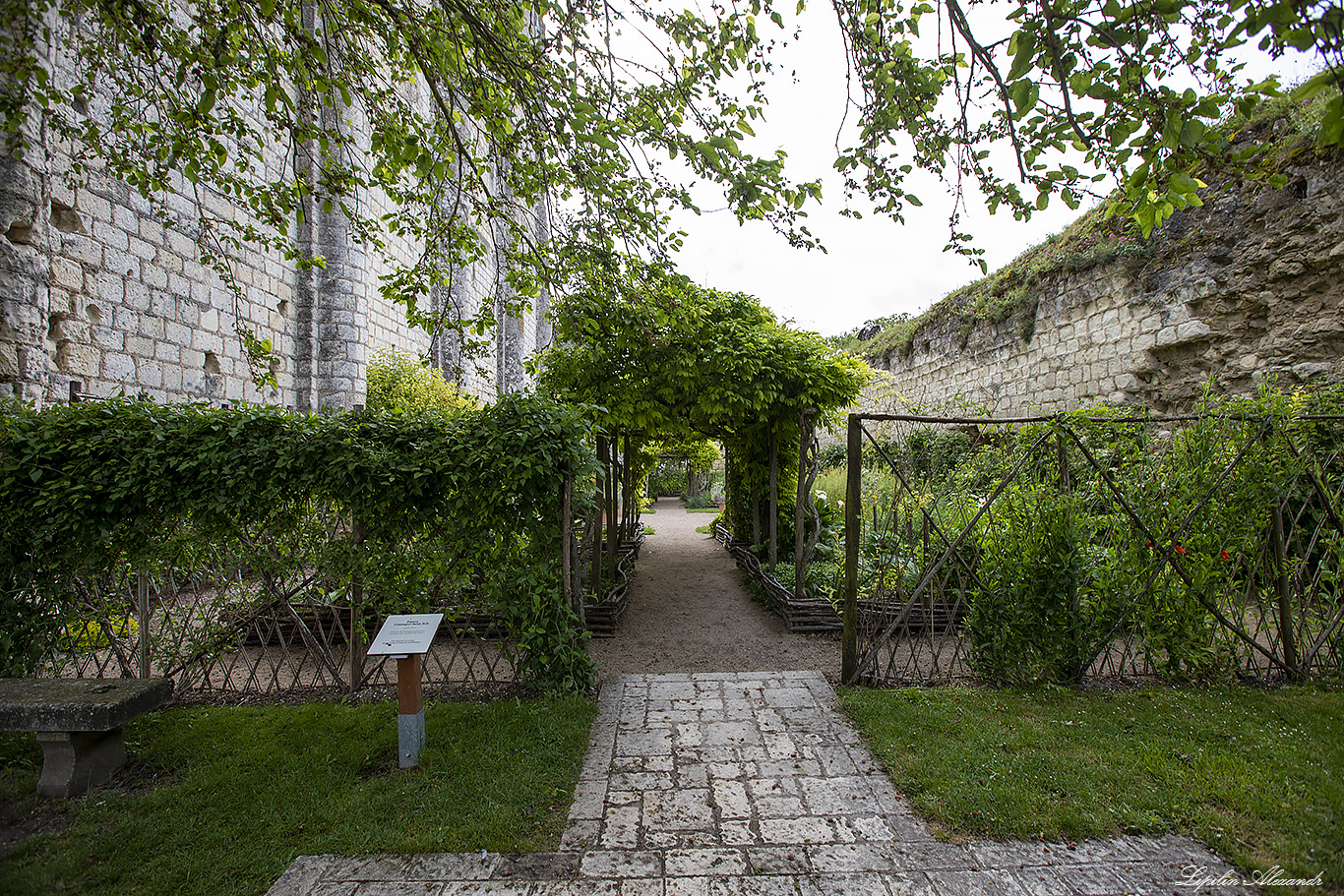 Замок Лош (Château de Loches) 