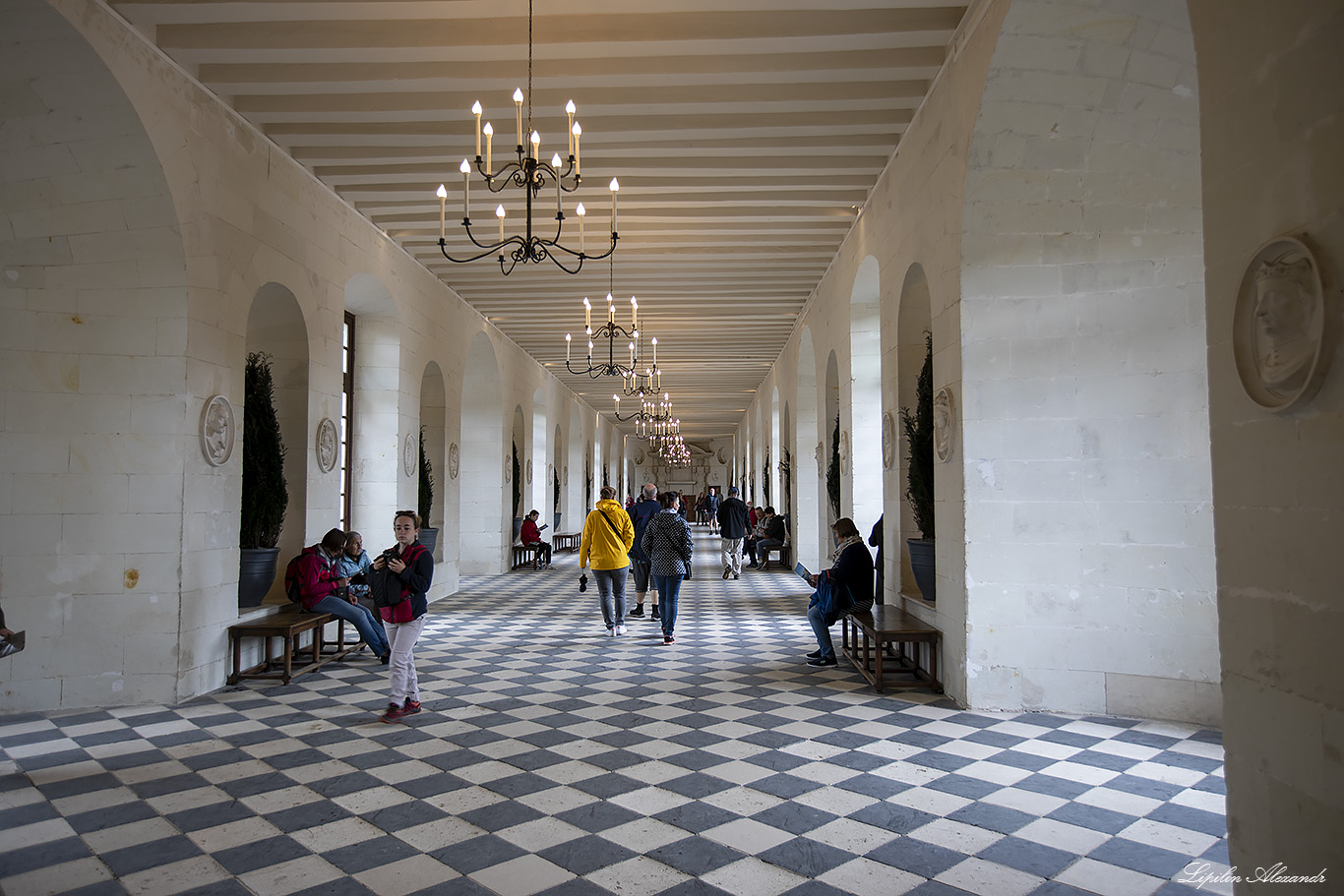 Замок Шенонсо (Château de Chenonceau) 