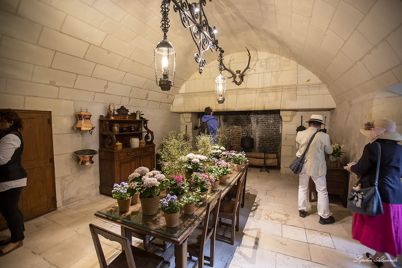 Замок Шенонсо (Château de Chenonceau) 