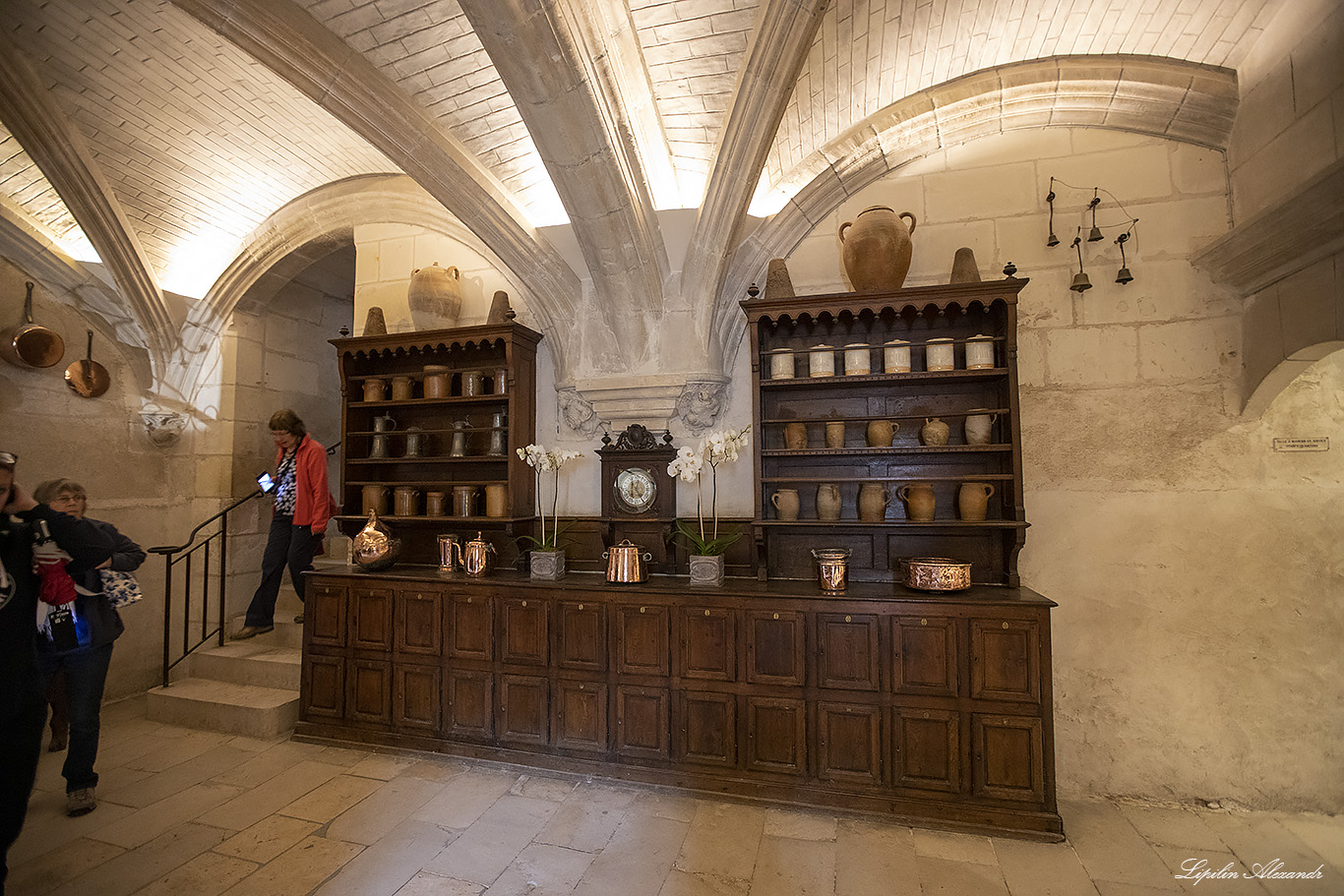 Замок Шенонсо (Château de Chenonceau) 