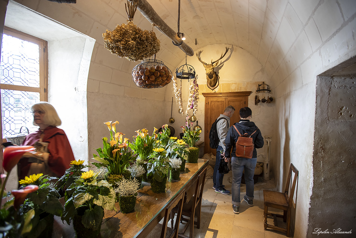 Замок Шенонсо (Château de Chenonceau) 