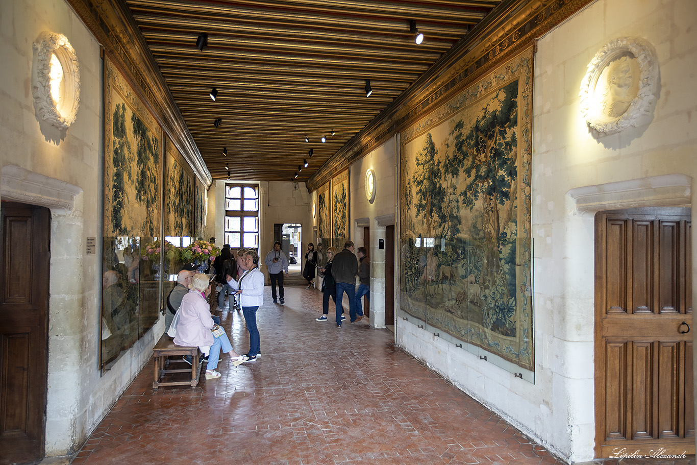 Замок Шенонсо (Château de Chenonceau) 