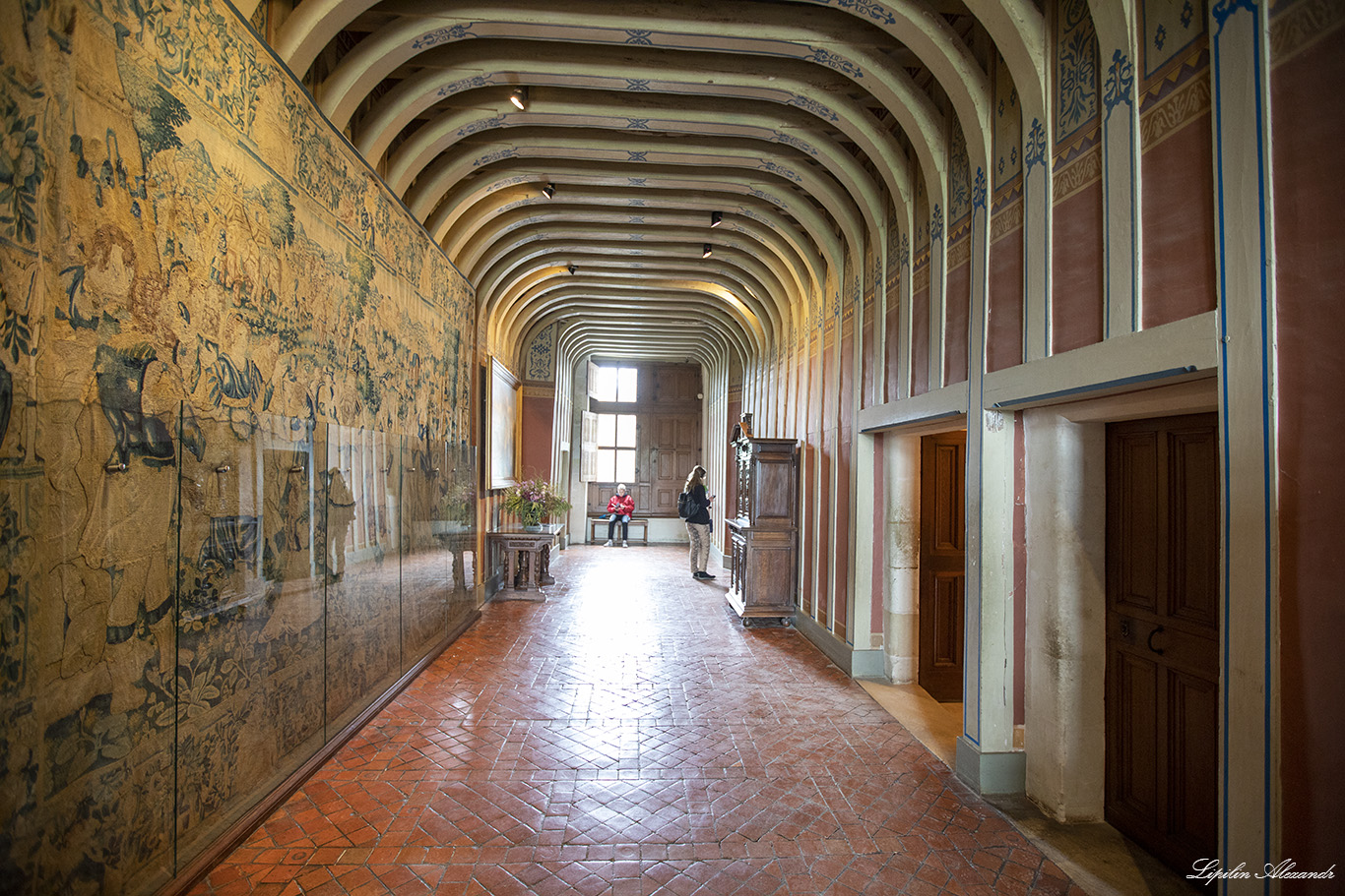 Замок Шенонсо (Château de Chenonceau) 