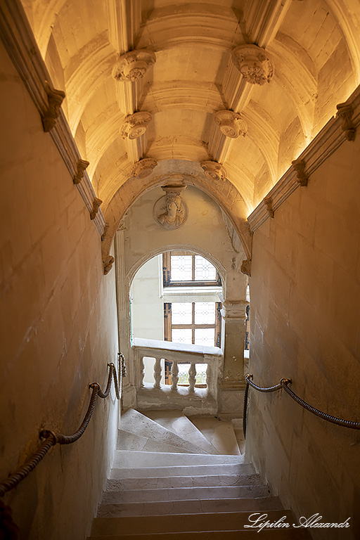 Замок Шенонсо (Château de Chenonceau) 