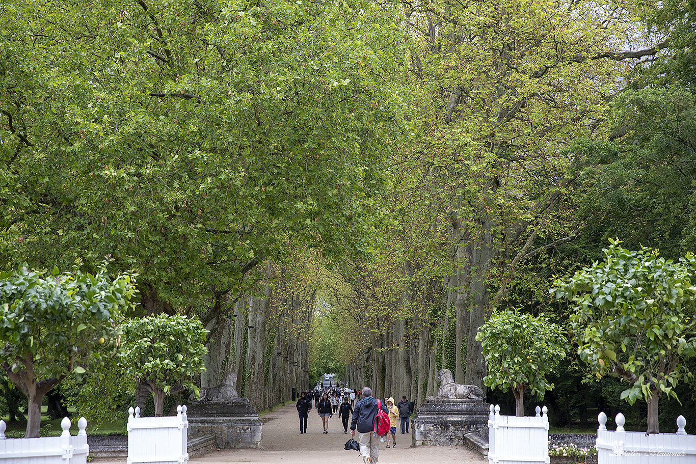 Замок Шенонсо (Château de Chenonceau) 