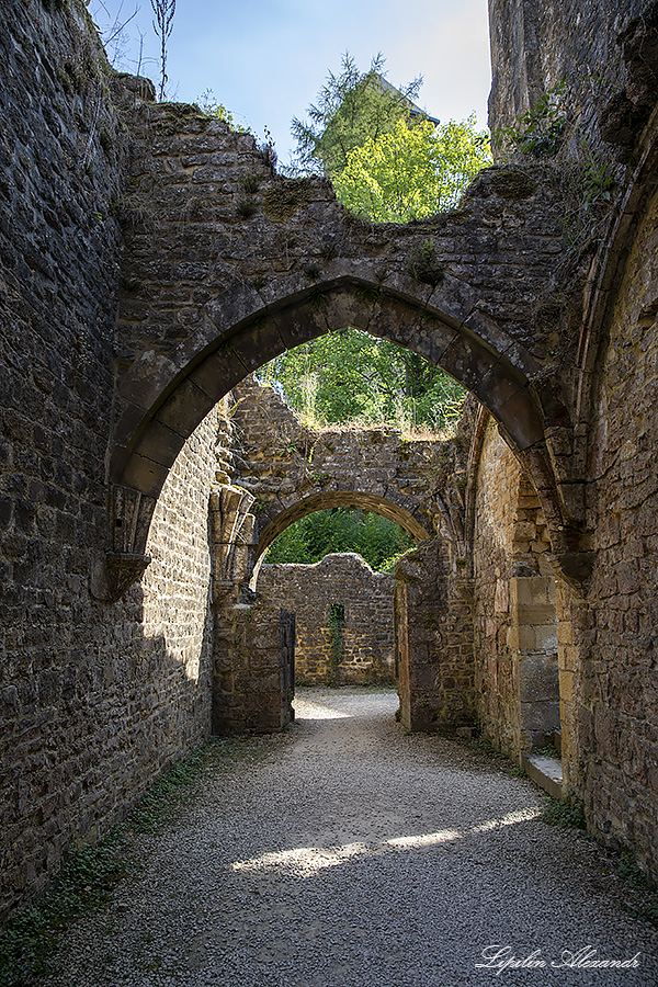 Аббатство Орваль (Abbaye Notre-Dame d’Orval) 