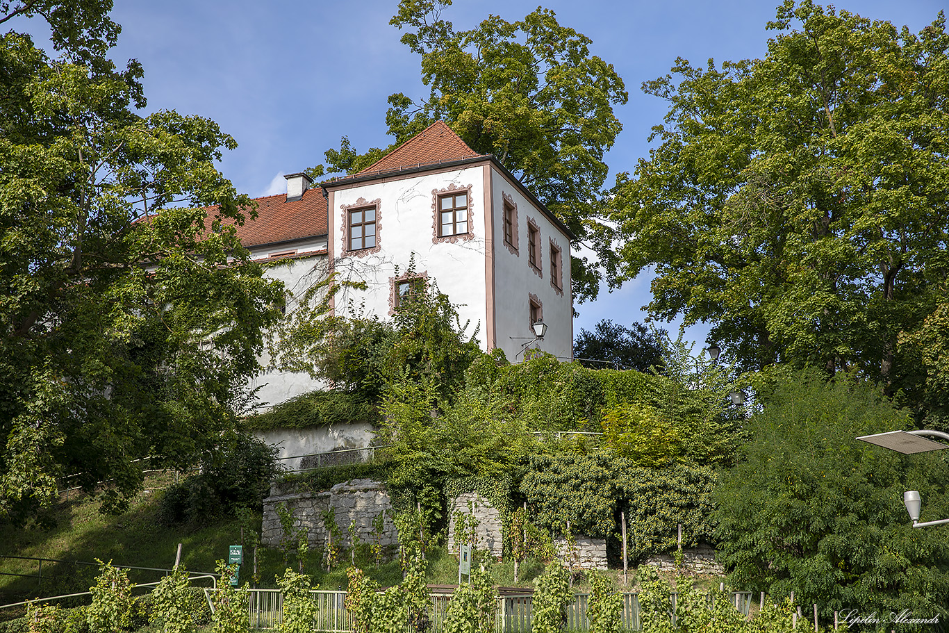 Нойбургский замок (Schloss Neuburg)