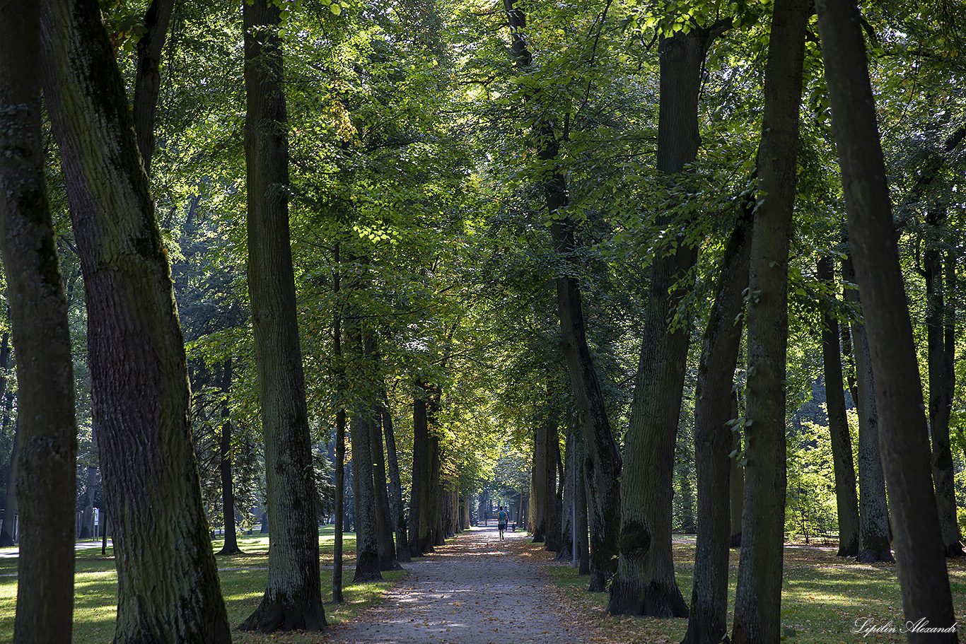 Новый Замок Байройт (Neues Schloss Bayreuth) 