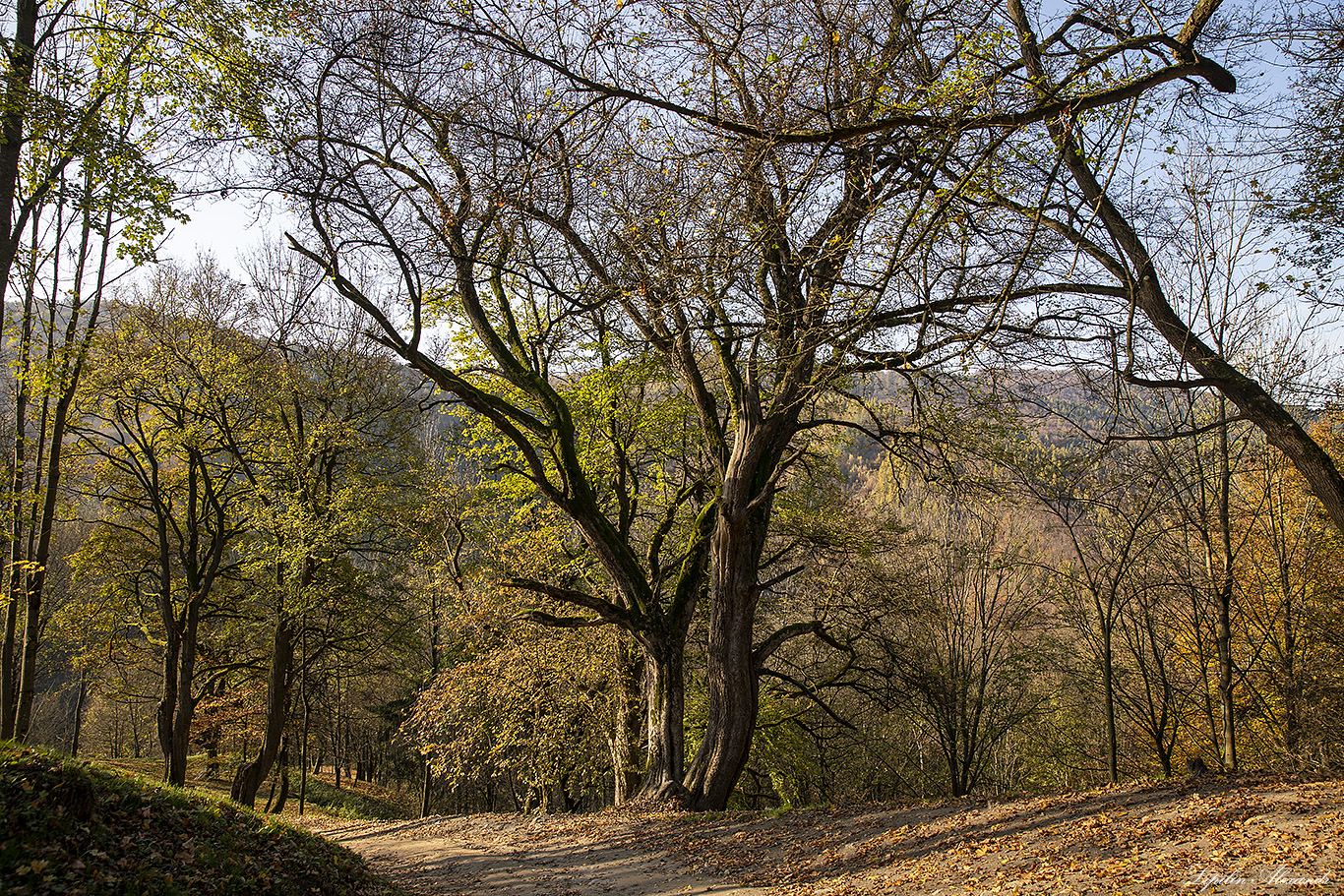 Поважский град (Považský hrad) 