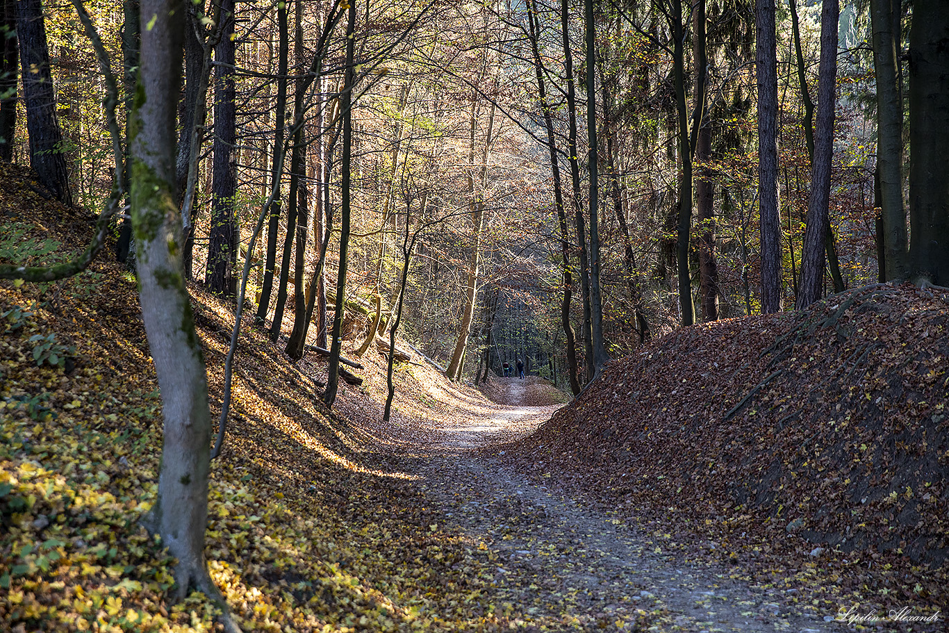 Поважский град (Považský hrad) 