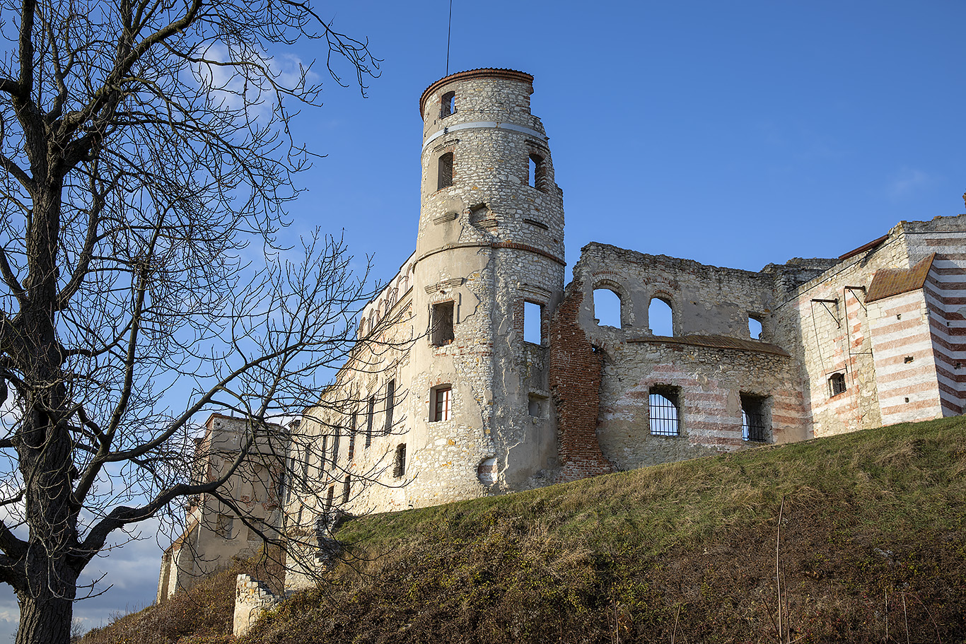 Замок Яновец (Zamek Janowiec)