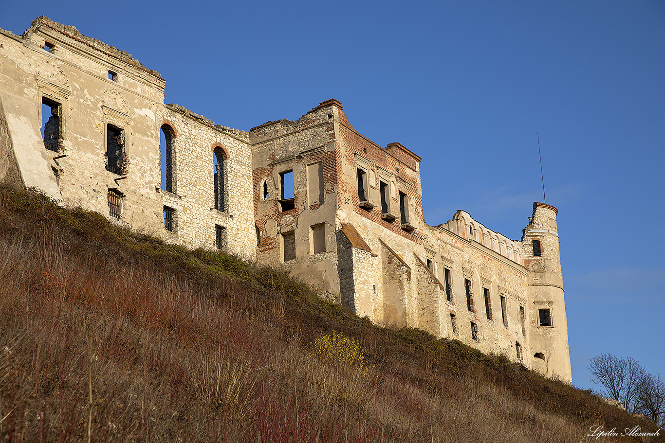 Замок Яновец (Zamek Janowiec)