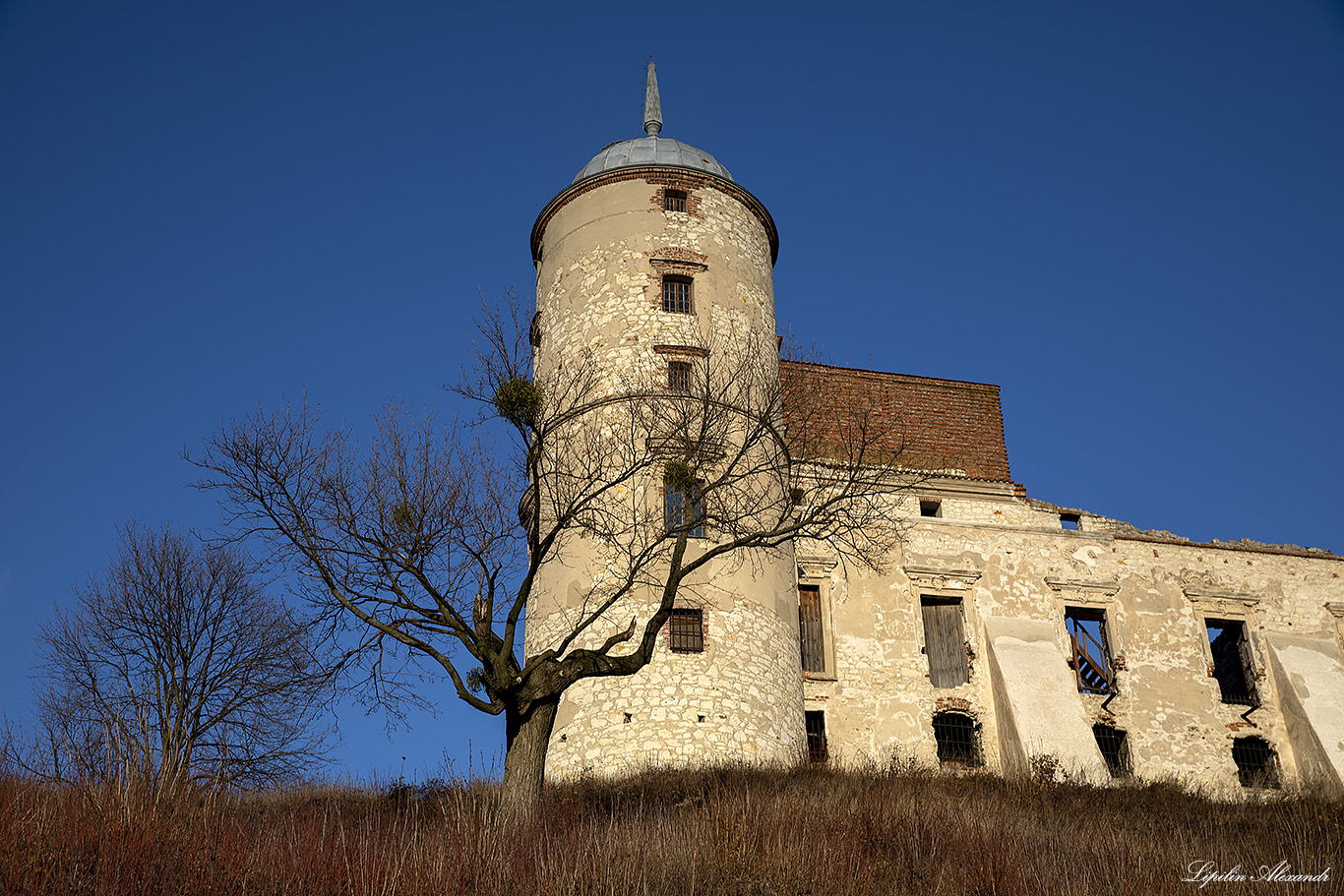 Замок Яновец (Zamek Janowiec)