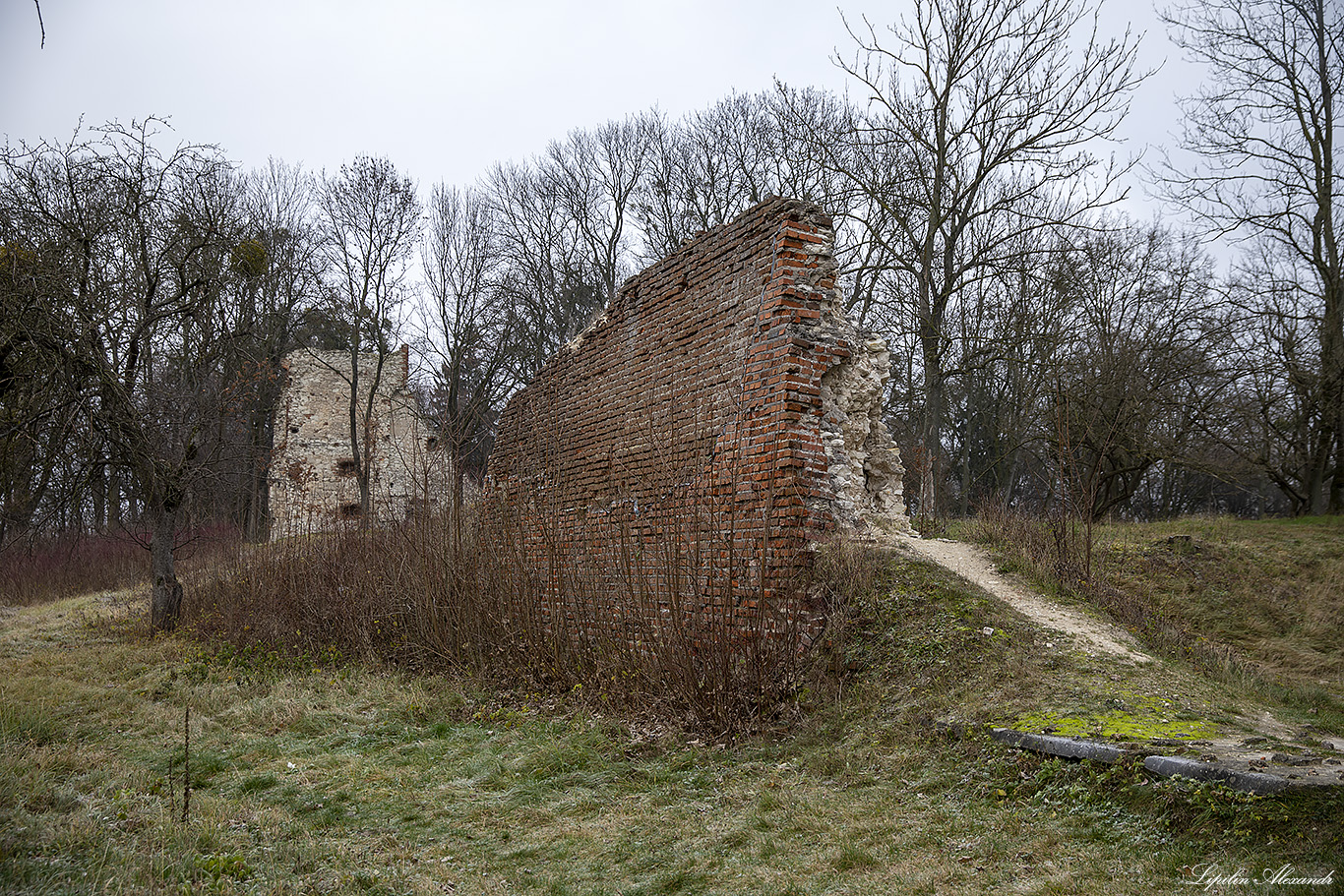 Руины замка Крупе (Ruiny Zamku w Krupemiu)
