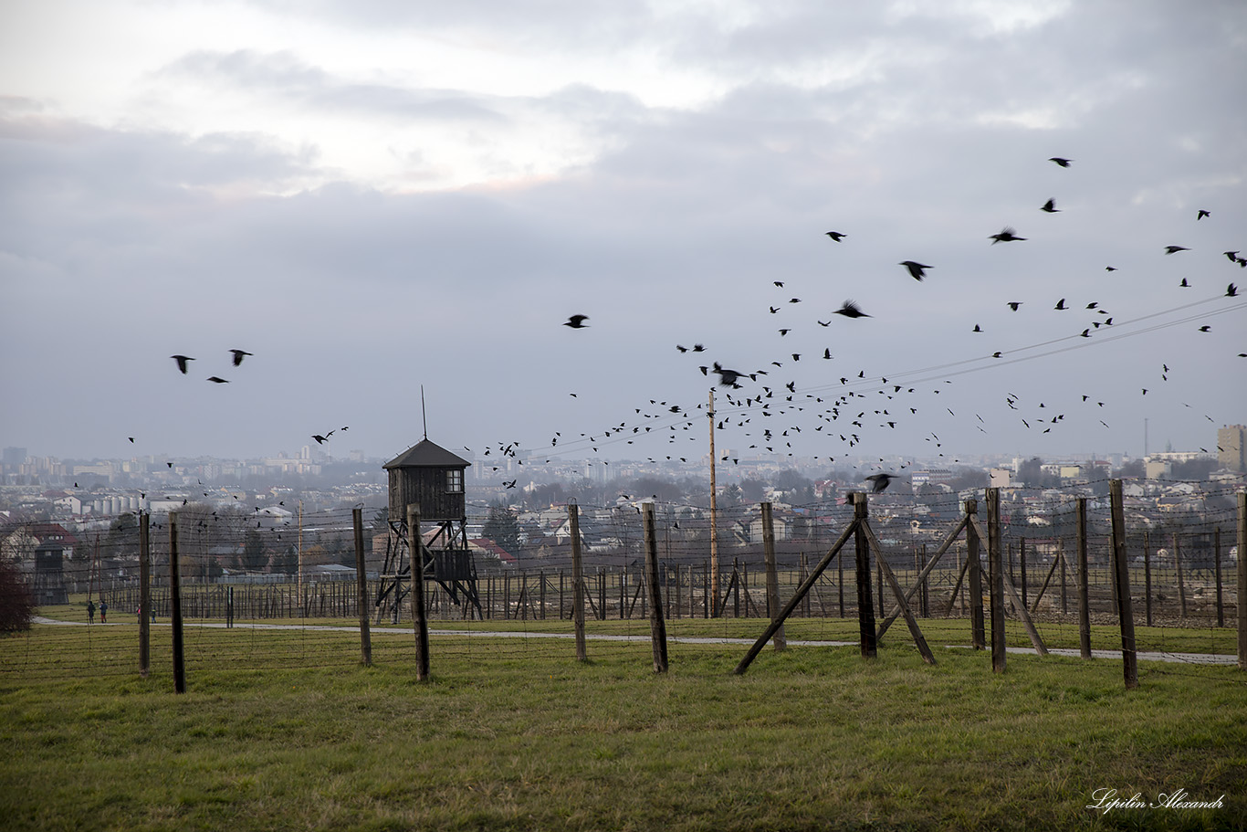 Лагерь смерти Майданек (Majdanek) 